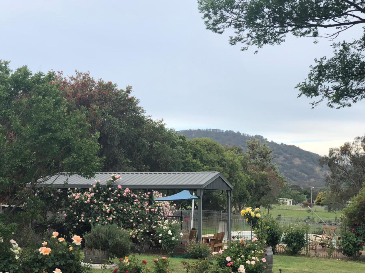 Valley View Motel Murrurundi Zewnętrze zdjęcie